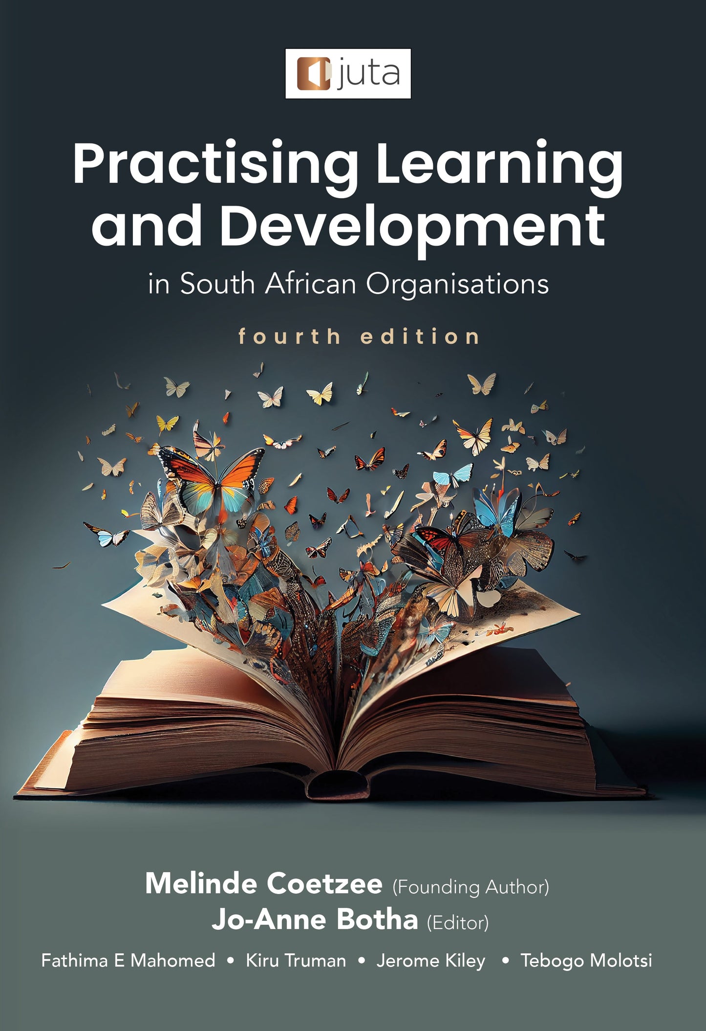 Practising Learning And Development - In South African Organisations  4th Edt